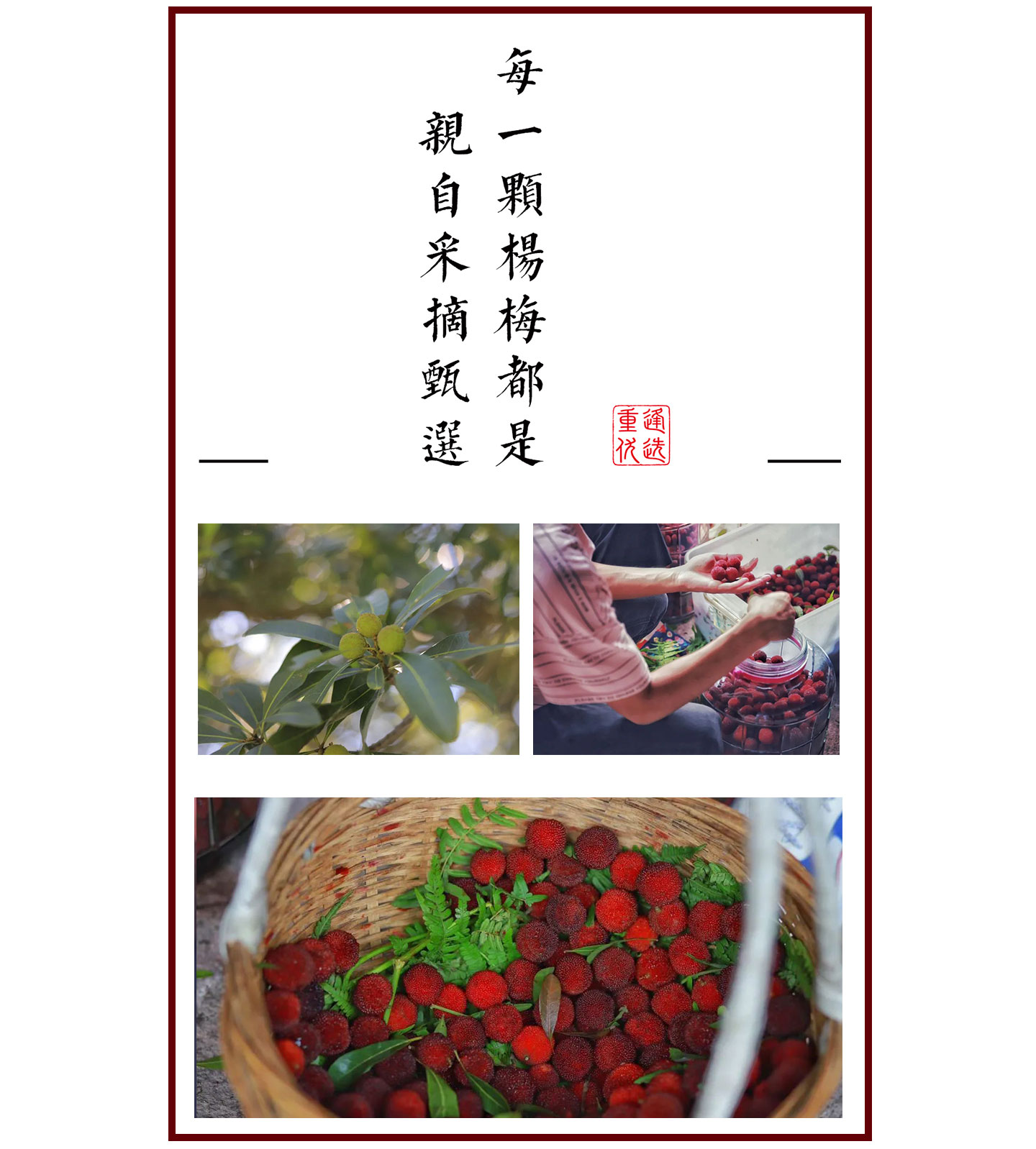 久住-杨梅酒_04.jpg