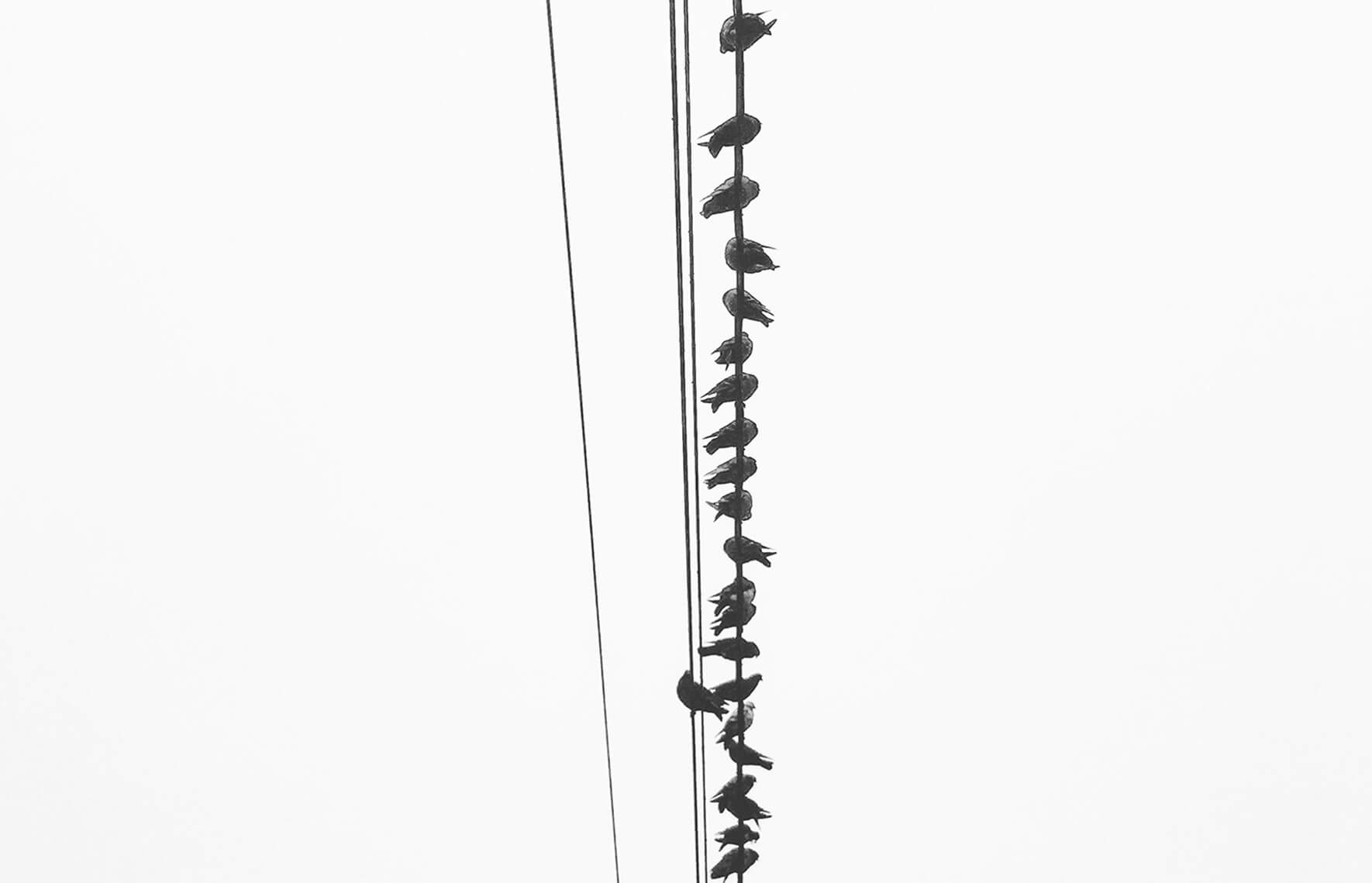 thumb1 (1).jpg