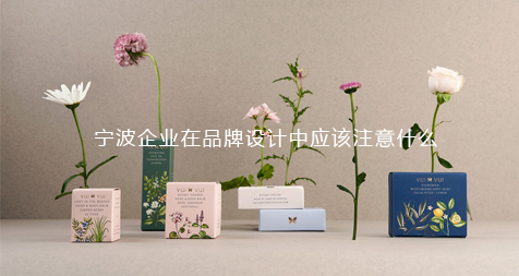 宁波企业在品牌设计中应该注意什么