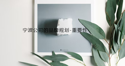 宁波公司的品牌规划-重要性