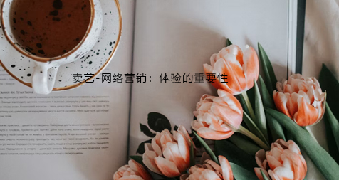 卖艺-网络营销:体验的重要性