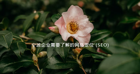 宁波企业需要了解的网络定位 (SEO)