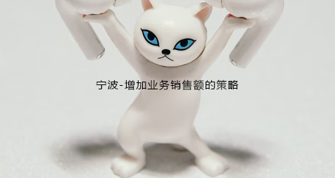 宁波-增加业务销售额的策略