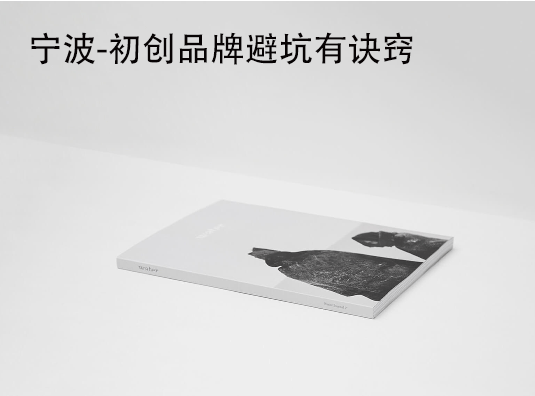 宁波-初创品牌避坑有诀窍