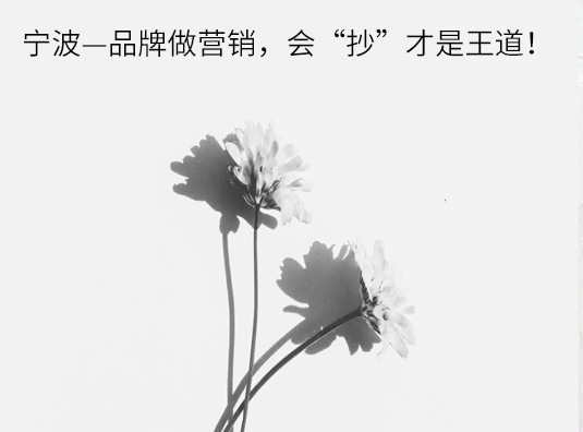 宁波—品牌做营销,会“抄”才是王道!