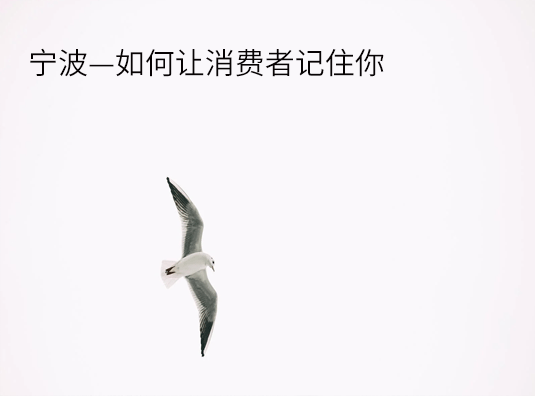 宁波—如何让消费者记住你