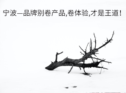 宁波—品牌别卷产品,卷体验,才是王道!