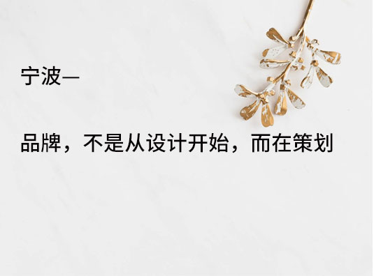 宁波—品牌,不是从设计开始,而在策划!