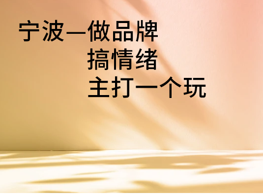 宁波—做品牌搞情绪,主打一个玩